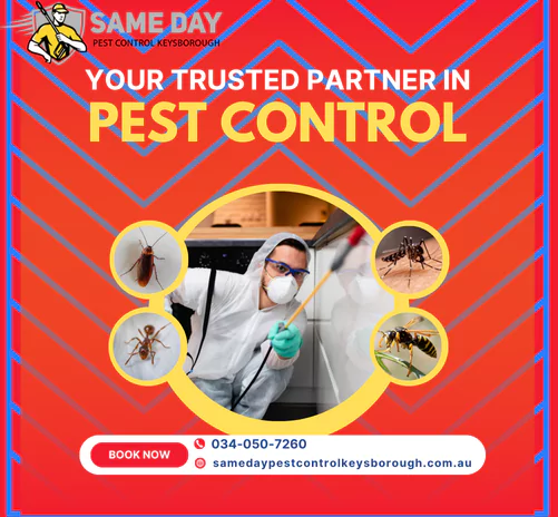 Pest Control Keysborough