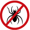 Spider Control Keysborough