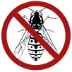Wasp Control Keysborough